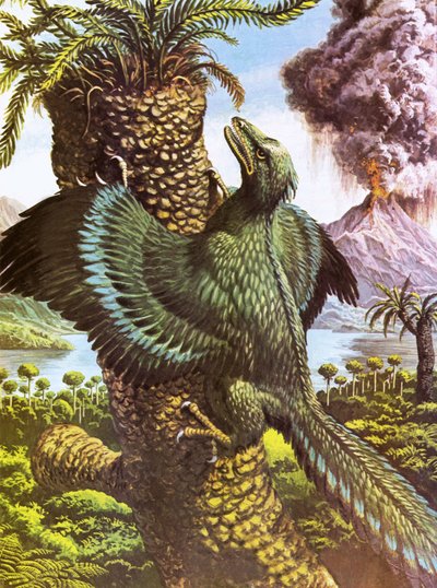 始祖鳥 作： Roger Payne