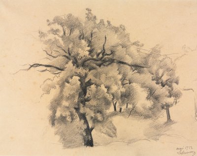 木の研究 作： Roger de La Fresnaye