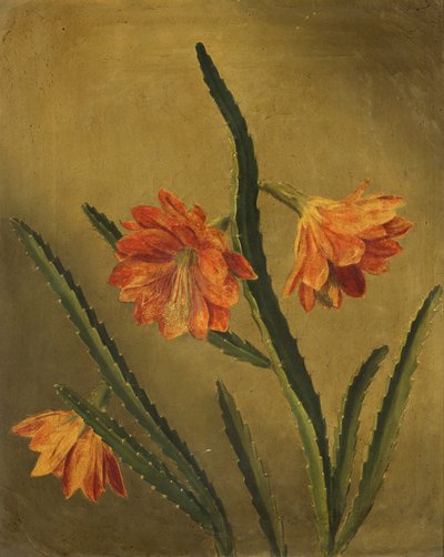 花の研究（帆布に油彩） 作： Rolinda Sharples