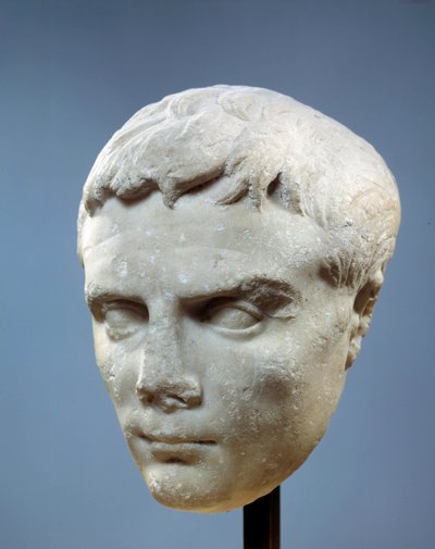 古代ローマのアート。アウグストゥスの顔（オクタヴィアヌスまたはオクタヴィアン、紀元前63年から紀元後14年。ローマの初代皇帝。紀元前27年から20年の間にコスで発見された彫刻）。)パリ、ルーヴル美術館（Musee Du Louvre 作： Roman