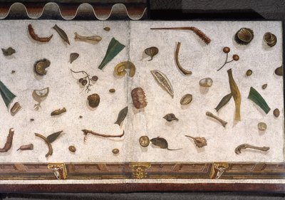 「アサロトス」（床の不掃除） ローマのハラクライトンのサイン入りモザイクの断片、紀元後2世紀、ローマ 作： Roman