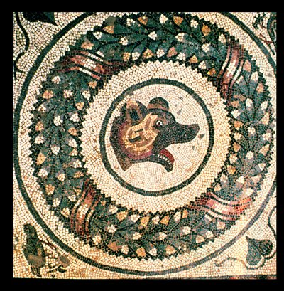 クマの頭、ローマ時代のモザイク、4世紀初頭（モザイク） 作： Roman