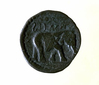 象を象ったカルタゴのコイン。紀元前3～2世紀 作： Roman