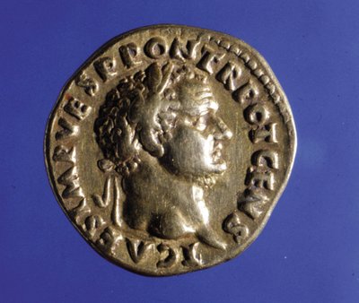ローマ皇帝ティトゥス(40-81)の肖像が描かれたコイン、ミラノのメダリエーレのコレクション。 作： Roman