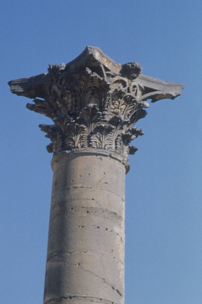 2世紀のニンファエウムからのコリント式の首都があるローマ時代の柱 作： Roman
