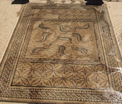 イルカ、オルフェウスの家のローマのモザイク、紀元3世紀（モザイク 作： Roman