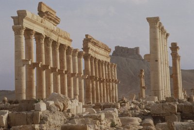2世紀前半に建てられた17世紀のアラブの城であるQalaat Ibn Maanに通じる列柱通りの最初の部分 作： Roman
