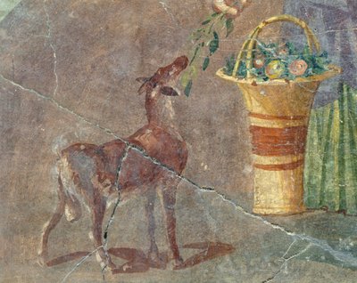 山羊と果物の籠 イタリア・カンパニア州ポンペイのフレスコ画 ローマ文明時代 作： Roman