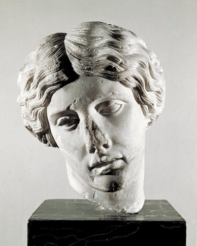 アマゾンの頭部（大理石彫刻、紀元前2世紀 作： Roman