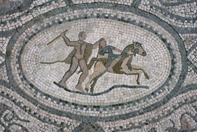 ヘラクレスとアマゾンの女王、「ヘラクレスの家」の床から（モザイク） 作： Roman