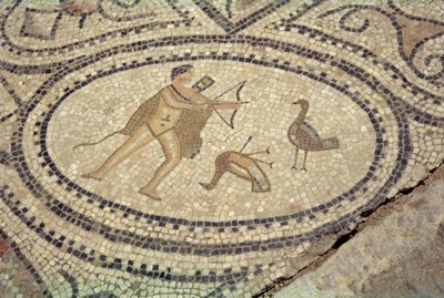 ヘラクレスとスティンファリアの鳥、「ヘラクレスの家」の床から（モザイク） 作： Roman