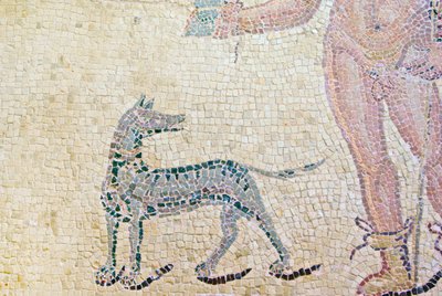 HippolytusとPhaedra、Hippolytus犬の詳細、Dionysosの家、パフォス、キプロスモザイク 作： Roman