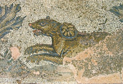 狩猟シーン、雌ライオンの詳細、ディオニュソスの家、パフォス、キプロスのモザイク 作： Roman