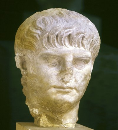 若き日の皇帝ネロン（37〜68歳）を表したもの。ローマ、ローマ国立博物館。 作： Roman