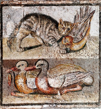 ローマ美術：山猫がウズラと2羽のアヒルを捕まえている様子を描いたモザイク画。紀元前200-150年ローマ、ナツィオナーレ・ロマーノ美術館-ローマ美術：ウズラと2羽のアヒルを捕まえる野良猫を描いたモザイク画。紀元前200-150年。イタリア、ローマ、ナツィオナーレ・ロマーノ美術館（Museo Nazionale Romano 作： Roman
