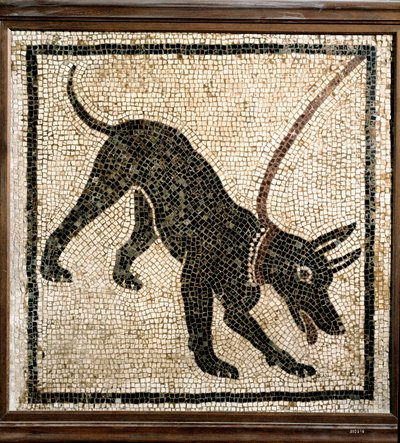 ローマの芸術： ""犬に注意してください "" 作： Roman