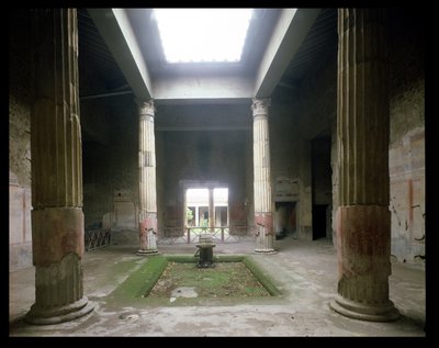 銀の結婚式の家の陰謀 作： Roman