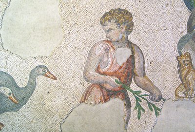 不明な画像 作： Roman