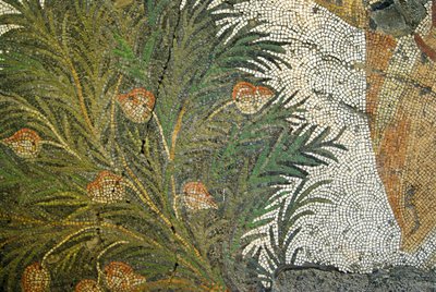 不明な画像 作： Roman