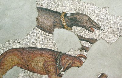 不明な画像 作： Roman