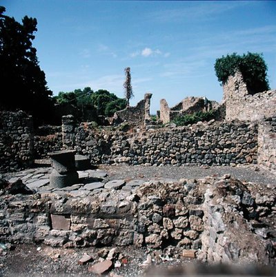 台無しにされた家の眺め 作： Roman