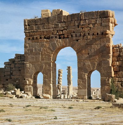 アントニヌスの門から遺跡を望む 作： Roman