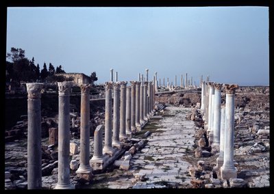 遺跡の眺め（2～4世紀 作： Roman