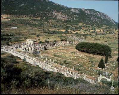 キュルテスの通りからケルススの図書館に向かう風景。 作： Roman