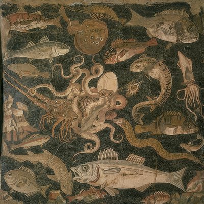 水生動物、タコとロブスターの間の戦い 作： Roman