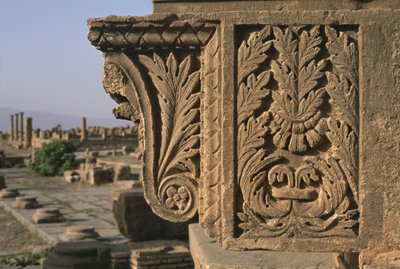 彫刻が施された装飾が施された建築の断片、セルティウスマーケット、帝国時代（紀元前27年〜395年） 作： Roman Imperial Period
