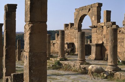 カルドとコジニウス市場への参入、高帝国時代（紀元前27年〜395年） 作： Roman Imperial Period