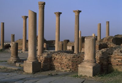 図書館の眺め、西暦100年頃、帝国時代（紀元前27年〜395年） 作： Roman Imperial Period