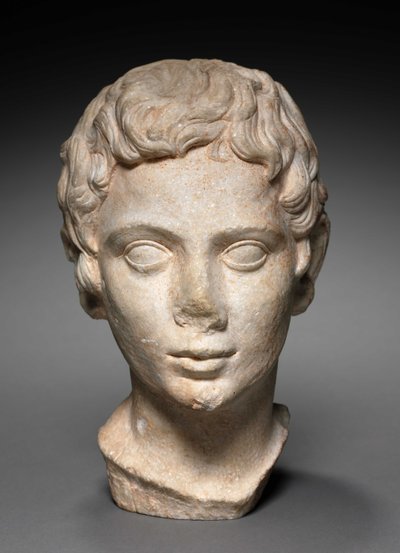 青年の頭、紀元前100-1年 作： Roman Period Egyptian