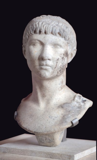 美術 ローマ モーリタニアのプトレンマの胸像（紀元前10年～紀元後40年） 大理石 作： Roman Roman
