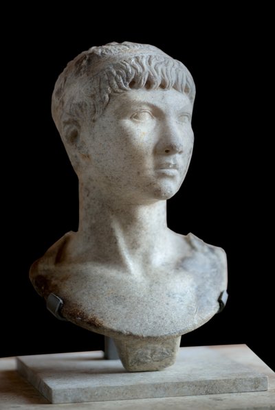 美術 ローマ モーリタニアのプトレンマの胸像（紀元前10年～紀元後40年） 大理石 作： Roman Roman