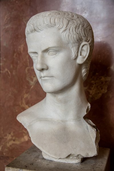 美術 ローマ 皇帝カリグラの胸像（紀元12年～41年） 大理石製 作： Roman Roman