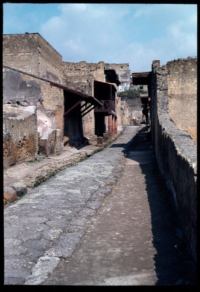 カルド4号 紀元前5世紀～紀元後1世紀 作： Roman Roman