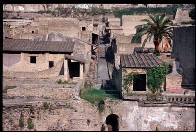 カルド4号 紀元前5世紀～紀元後1世紀 作： Roman Roman