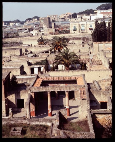宝石の家、家、紀元前5世紀～紀元後1世紀 作： Roman Roman