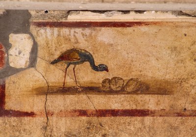 ポンペイ、カイオス・ユリウス・ポリビウスの家のペリスティリウムの鳥を描いたフレスコ画（ユネスコ世界遺産リスト 作： Roman Roman