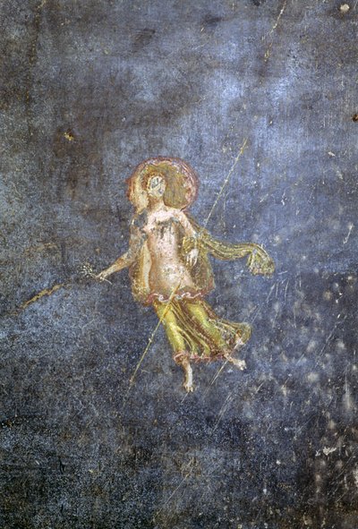 ポンペイ、メナンダーの家のフレスコ画（ユネスコ世界遺産リスト 作： Roman Roman