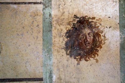 ゴルゴンの頭部、ポンペイ、カイウス・ユリウス・ポリビウスの家のフレスコ画（ユネスコ世界遺産リスト 作： Roman Roman