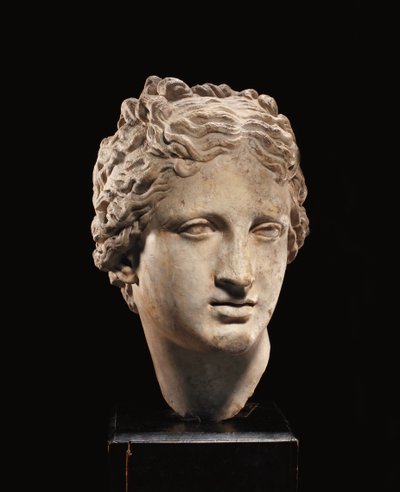 金星の頭、西暦1〜2世紀頃（大理石） 作： Roman Roman