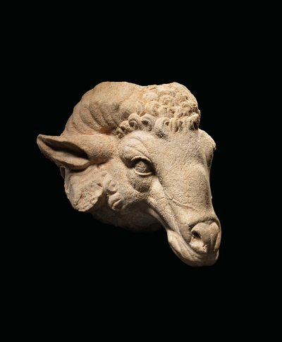 ラムの頭、紀元前1世紀頃-1世紀西暦（大理石） 作： Roman Roman