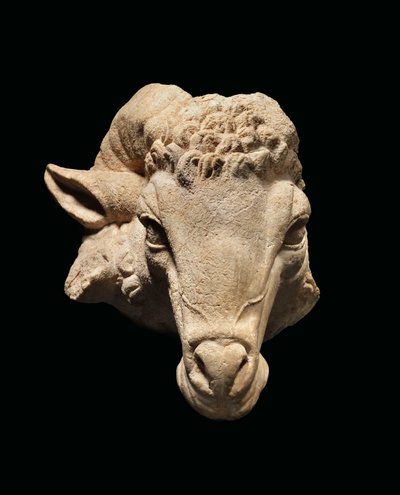 ラムの頭 紀元前1世紀頃～紀元後1世紀頃 （大理石製 作： Roman Roman