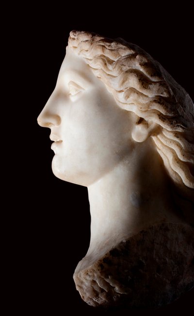 女神ジュノンの頭部-白大理石彫刻、ローマ時代、バナサ（モロッコ）-ラバト考古学博物館、モロッコ 作： Roman Roman