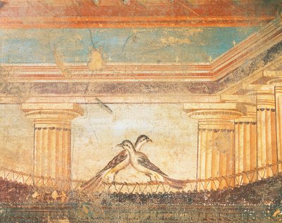 鳥を描いたヘラ・サンニータのフレスコ画、迷宮の家、ポンペイ、カンパニア、ローマ文明 作： Roman Roman