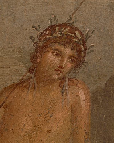 イタリア カンパーニャ州 ナポリ ポンペイ マルコ・ルクレツィオ・フロントーネの家 池のほとりの水仙を描いたフレスコ画 作： Roman Roman