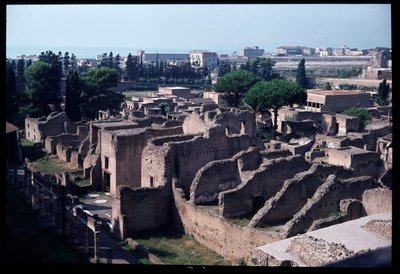 遺跡の全景、紀元前5世紀～紀元後1世紀 作： Roman Roman