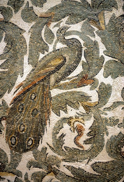 孔雀、モザイクの詳細-紀元前4世紀、チュニス、バルド博物館 作： Roman Roman
